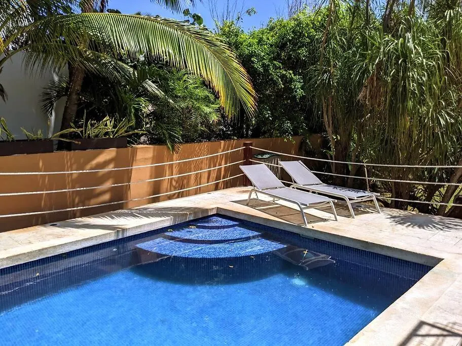 Modern Beach Villa Pool Ocean Views Terrace Bbq Villa Vista Real 신데 델 카르멘
